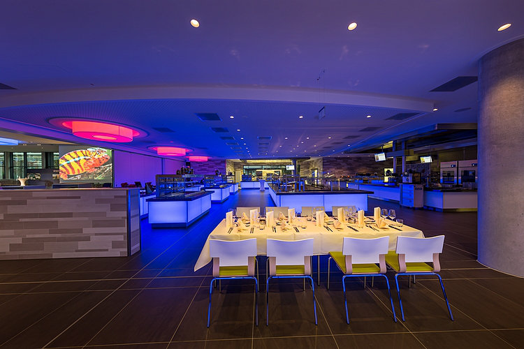 Boehringer Restaurant Event Veranstaltungsraum Projektor Leinwand Beleuchtung AV Kommunikation staff restaurant event location communication diplays projector av equipment